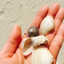 표선충전소 이미지