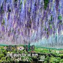 서울 근교 여행 가볼만한곳 가평 베고니아 새정원 입장권 할인 체험비 총정리