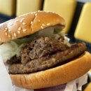 롯데리아 신메뉴 불고기4DX 솔직후기 🍔🍟