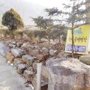 강당골캠핑파크 이미지