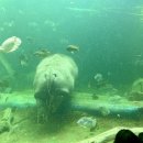 아르비토 이미지