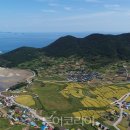 청산도 투어코리아