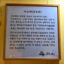 수오재 | 마리 토끼🐰를 함께 잡을 수 있는😉 묵은지🐔닭볶음탕, 닭곰탕 맛집 닭요리 전문점😋 수오재 닭한마리 방문후기