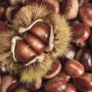 부여(외산)-10 이미지