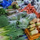 신선청과 이미지