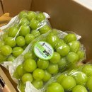 두루미 농원 이미지