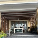 루나(LUNA)PC cafe | 보홀 2일차｜헤난 알로나비치 vs 타왈라 리조트 비교 + 조식·맛집·마사지 후기