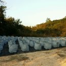 병부농장 이미지