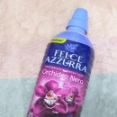 조양사 | 옷장에서 퍼지는 이탈리아 명품 향기 펠체아주라 블랙오키드 섬유유연제