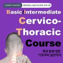 25년 KAOMPT 광주 Basic &amp; Intermediate Course of Cervicothoracic 개최안내 이미지