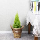 남동화원 이미지