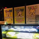 코아애견 이미지