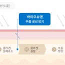 바이오슈 이미지