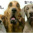 커피는미스김