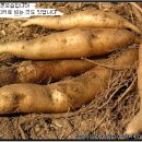 수호농장 이미지