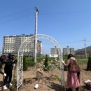 동부2리 이미지