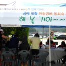 화려한 날의 오후 이미지