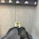 광명 미용실 무드셀라헤어살롱 광명역점 긴머리 매직 잘하는곳 반려견 대형견동반 가능