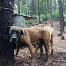 백순농장 이미지