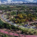 야생화단지내 이미지