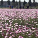 김영록농장 | K-농업의 미래를 만나다! 2025 나주 국제농업박람회 관람 후기