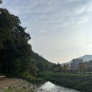 버들치 | 서울 근교 물놀이 명소, 군포 수리산 버들치 계곡 나들이 후기