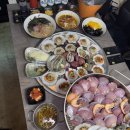 레인보우조개 이미지