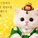 미유펫대구 강아지분양고양이분양(도그플러스동물병원) 이미지