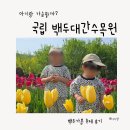 경동프라자 개방화장실 | 백두대간수목원 아이랑 다녀왔는데...유모차 생각보다 힘들었던 이유(호랑이숲 후기)