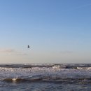 바다의향기 이미지