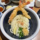 대덕대로249번길 | [대전 맛집] 대전 둔산동 타츠진 우동 솔직 후기｜마제우동이 유명한 이유