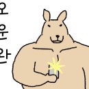 샤크존 골프클럽 이미지