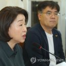 심상정 카카오 검색결과