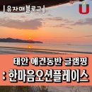 유자밭펜션 | 태안 애견동반 글램핑 / 맛조개 갯벌체험