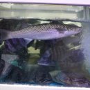 세븐일레븐 수변공원점 이미지