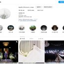[결혼준비] 사과꽃스냅 계약후기