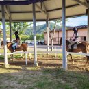 대가야축산 이미지
