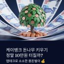 원테크 | 케이뱅크 돈나무 키우기, 정말 10만원 터질까? (ft. 앱테크 후기)