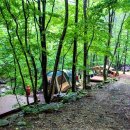 대승목장 이미지