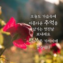 재미로 보는 오늘의 운세 보시고 가세요~ 이미지