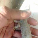 (주)모프 이미지