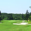 테디벨리골프장 4 이미지