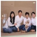 숲속의 아침 이미지