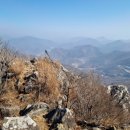 계룡산임도삼거리(입구) | 거제 노자산 원점회귀, 계룡산~선자산 종주(1일 2산)