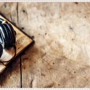 비젼치과의원 이미지