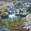 계곡의아침 이미지