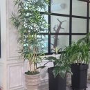 코스모스호텔연회장 이미지