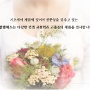 스마일화장품 이미지
