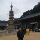 월정사 Daum카페
