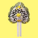 중앙U병원 이미지